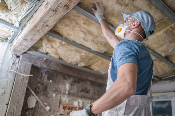 Best Types of Insulation in Little Ferry, NJ