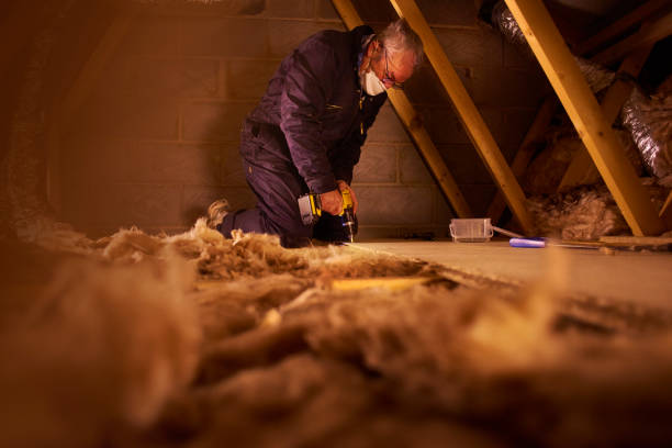 Best Insulation Maintenance and Repair in Little Ferry, NJ